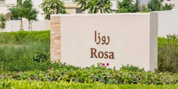 Rosa № 3