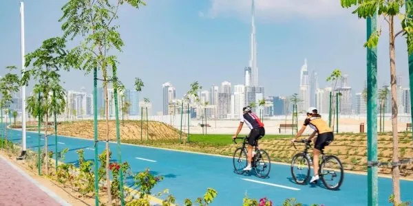 Nad Al Sheba № 1