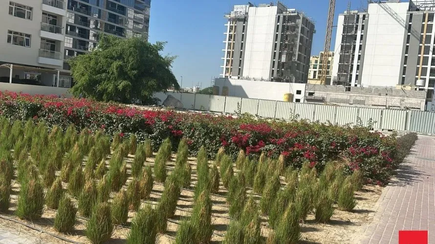 Terrain de 1157.8m² à Al Satwa, UAE No. 3098 № 1