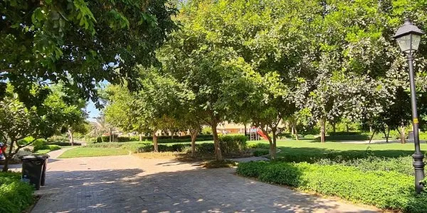Hacienda № 6