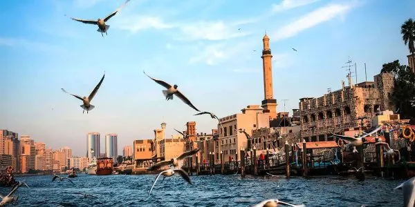 Bur Dubai № 3