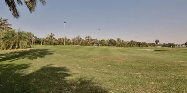 Meadows № 2