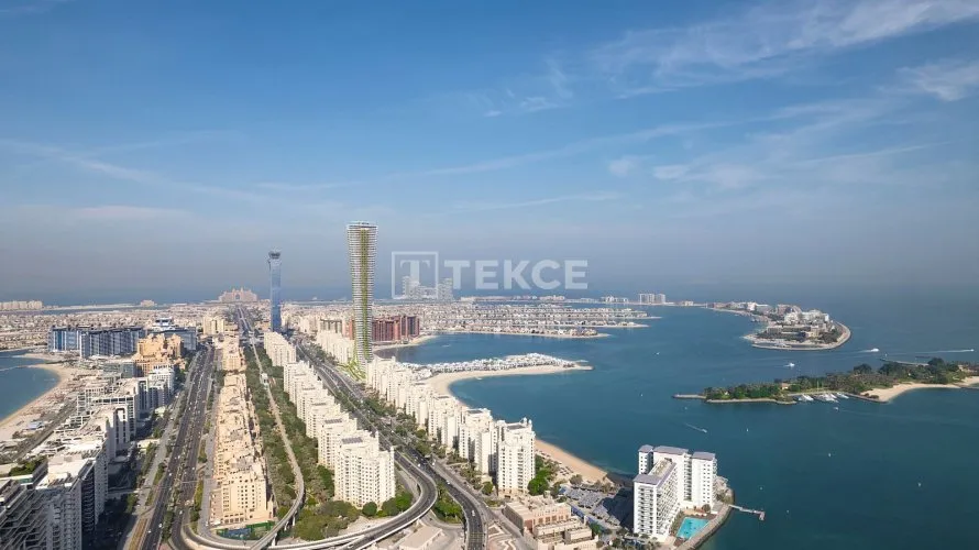 4 bedrooms apartment for sale , Palm Jumeirah, Dubai, UAE No. 465 № 17