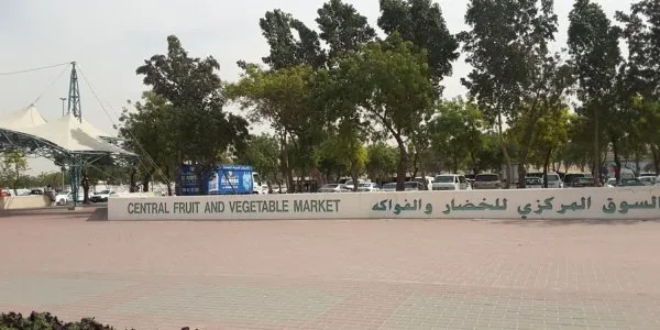 Ras Al Khor № 2