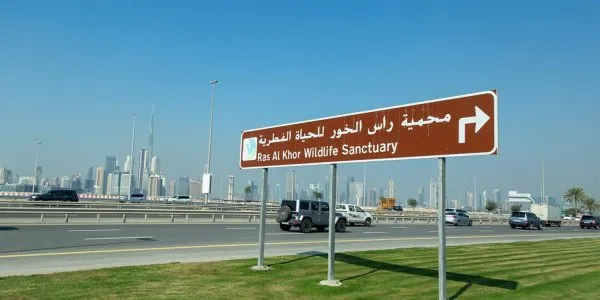 Ras Al Khor № 3