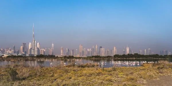 Ras Al Khor № 7