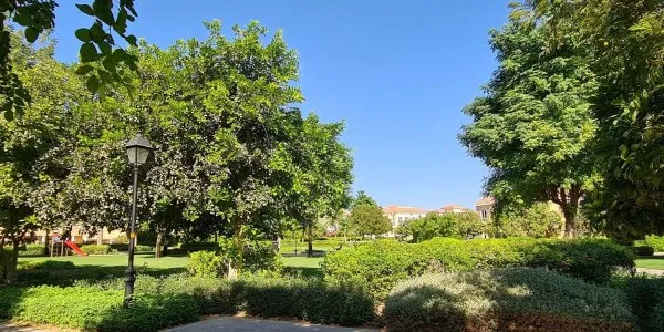 Hacienda № 7