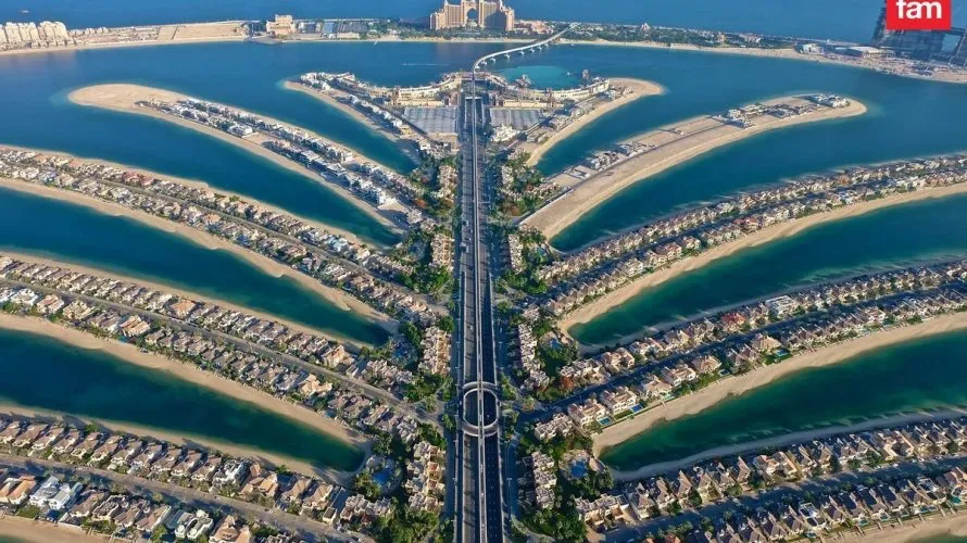 2347.7m² land for sale, Palm Jebel Ali, Dubai, UAE No. 3266 № 2